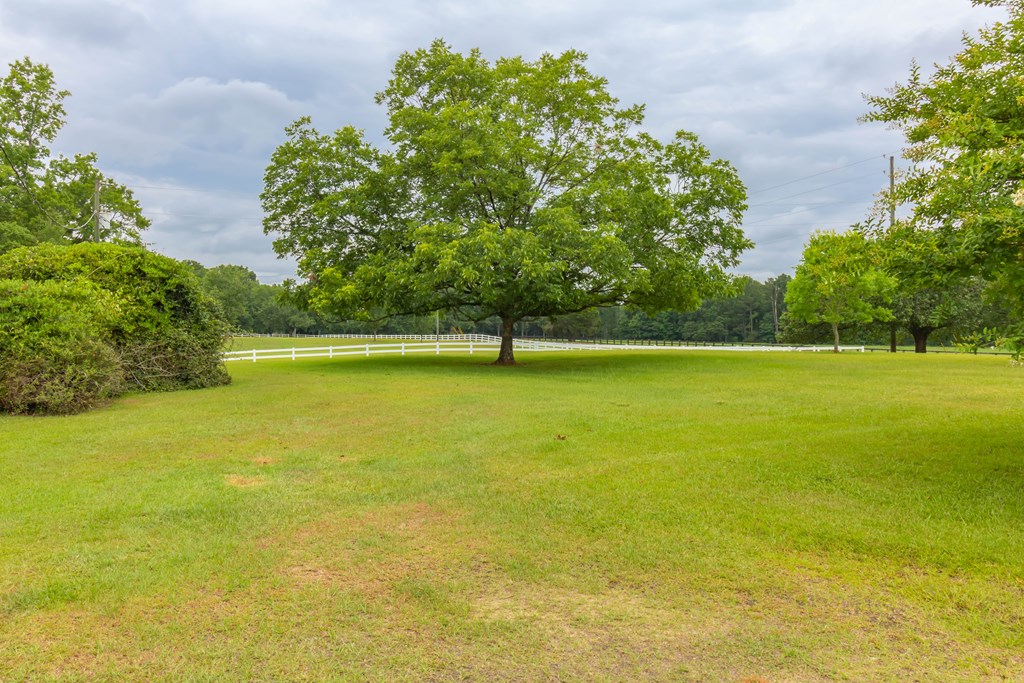 7941 Midland Road Midland, GA 31820 - Photo 11 of 63 Gallery Image 11
