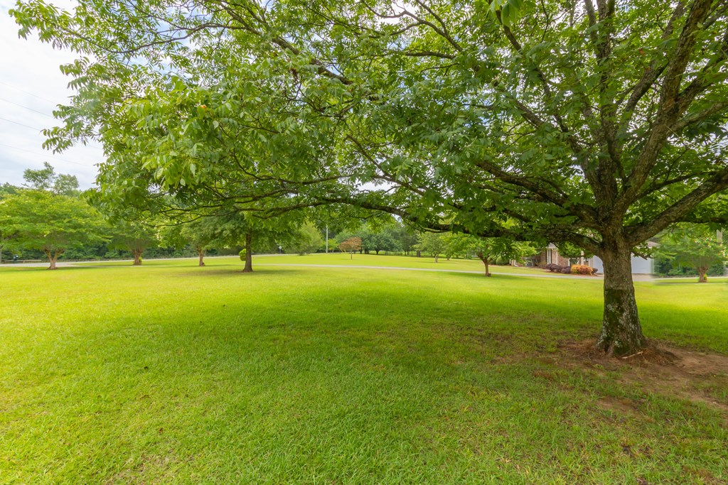 7941 Midland Road Midland, GA 31820 - Photo 12 of 63 Gallery Image 12