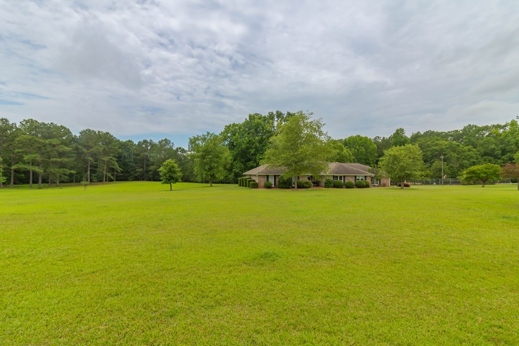 7941 Midland Road Midland, GA 31820 - Photo 15 of 63 Gallery Image 15