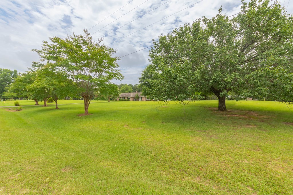 7941 Midland Road Midland, GA 31820 - Photo 17 of 63 Gallery Image 17