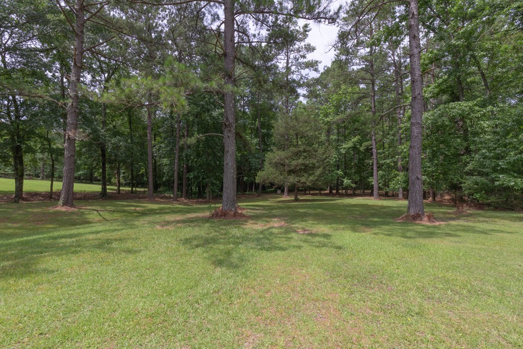 7941 Midland Road Midland, GA 31820 - Photo 18 of 63 Gallery Image 18