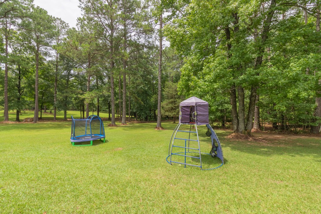7941 Midland Road Midland, GA 31820 - Photo 19 of 63 Gallery Image 19