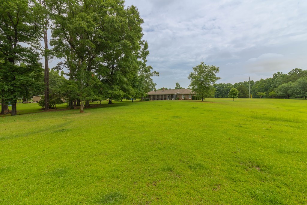 7941 Midland Road Midland, GA 31820 - Photo 3 of 63 Gallery Image 3