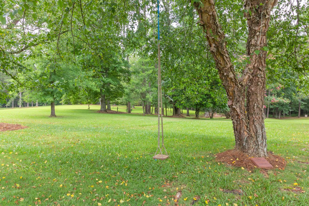 7941 Midland Road Midland, GA 31820 - Photo 4 of 63 Gallery Image 4