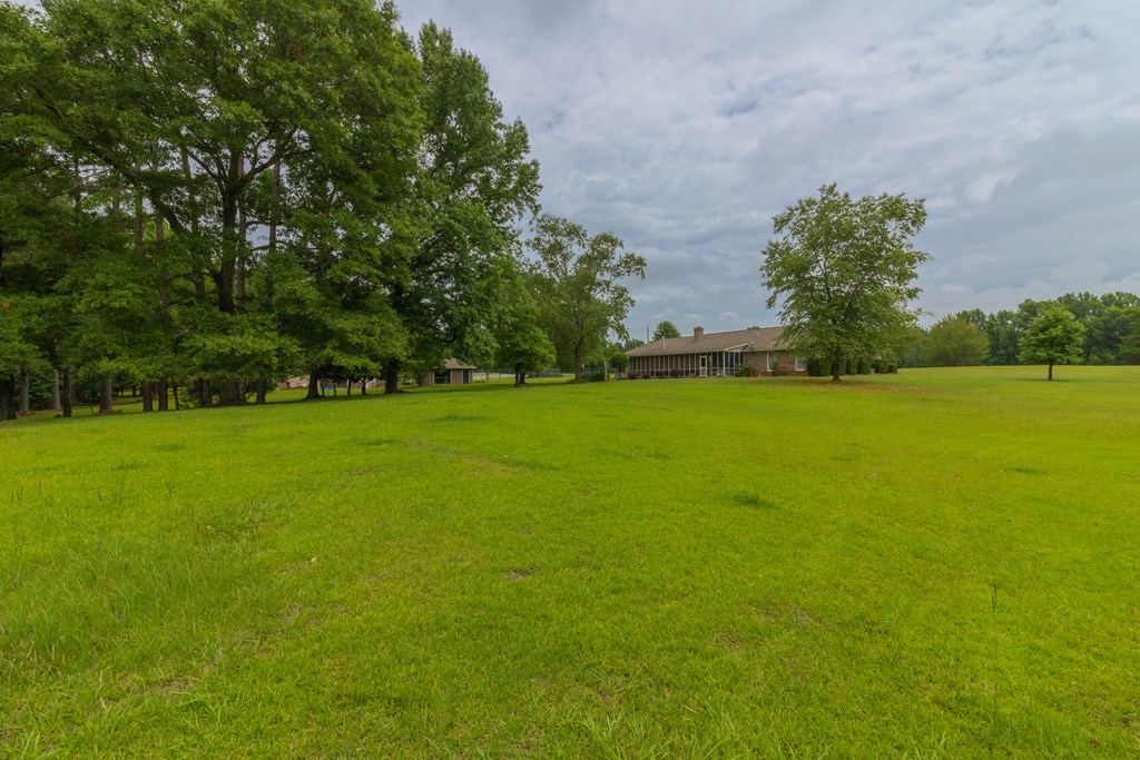 7941 Midland Road Midland, GA 31820 - Photo 5 of 63 Gallery Image 5