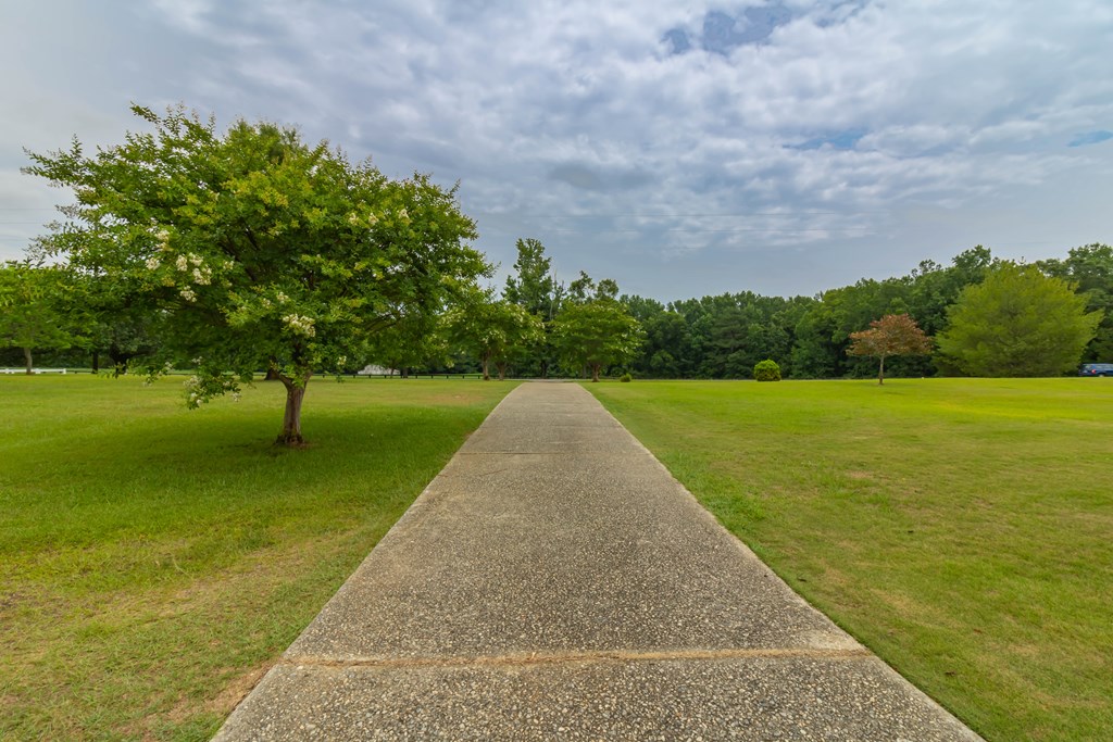 7941 Midland Road Midland, GA 31820 - Photo 9 of 63 Gallery Image 9