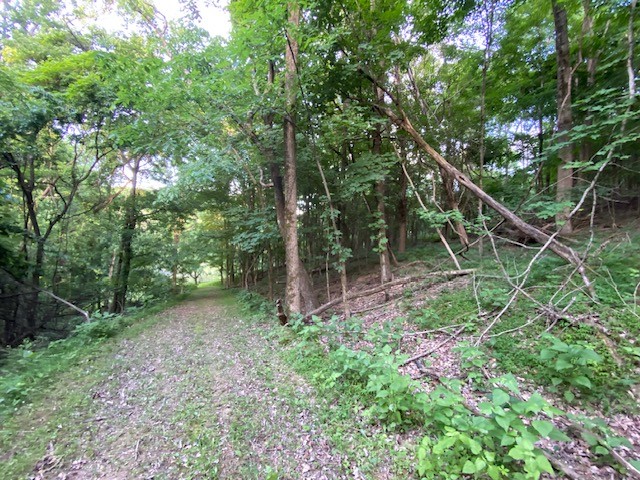250 Hurt Road Hendersonville, TN 37075 - Photo 6 of 9 a backyard of a house with lots of green space