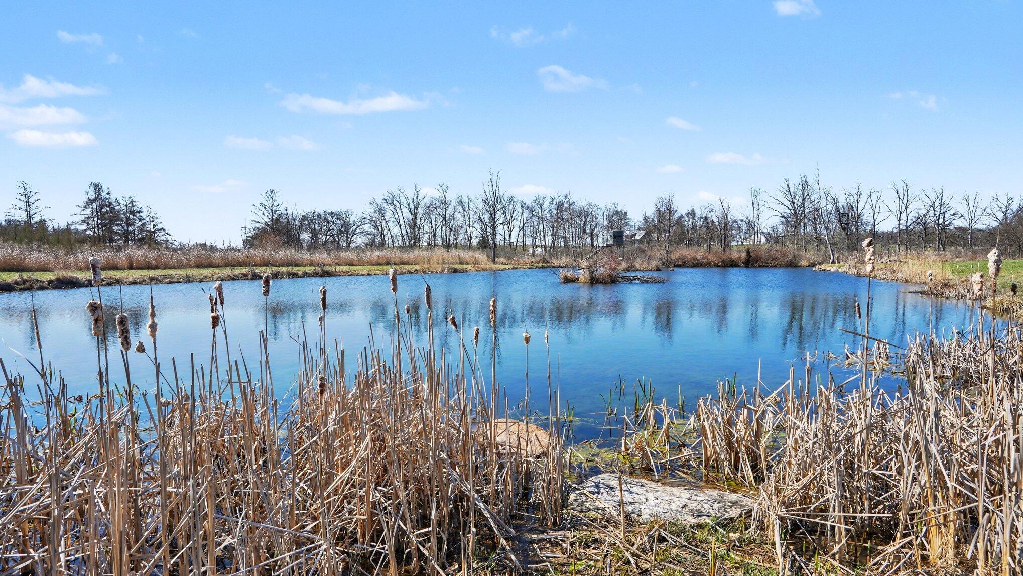 14720 Riethmiller Road Grass Lake, MI 49240 - Photo 50 of 82 053_file_8995