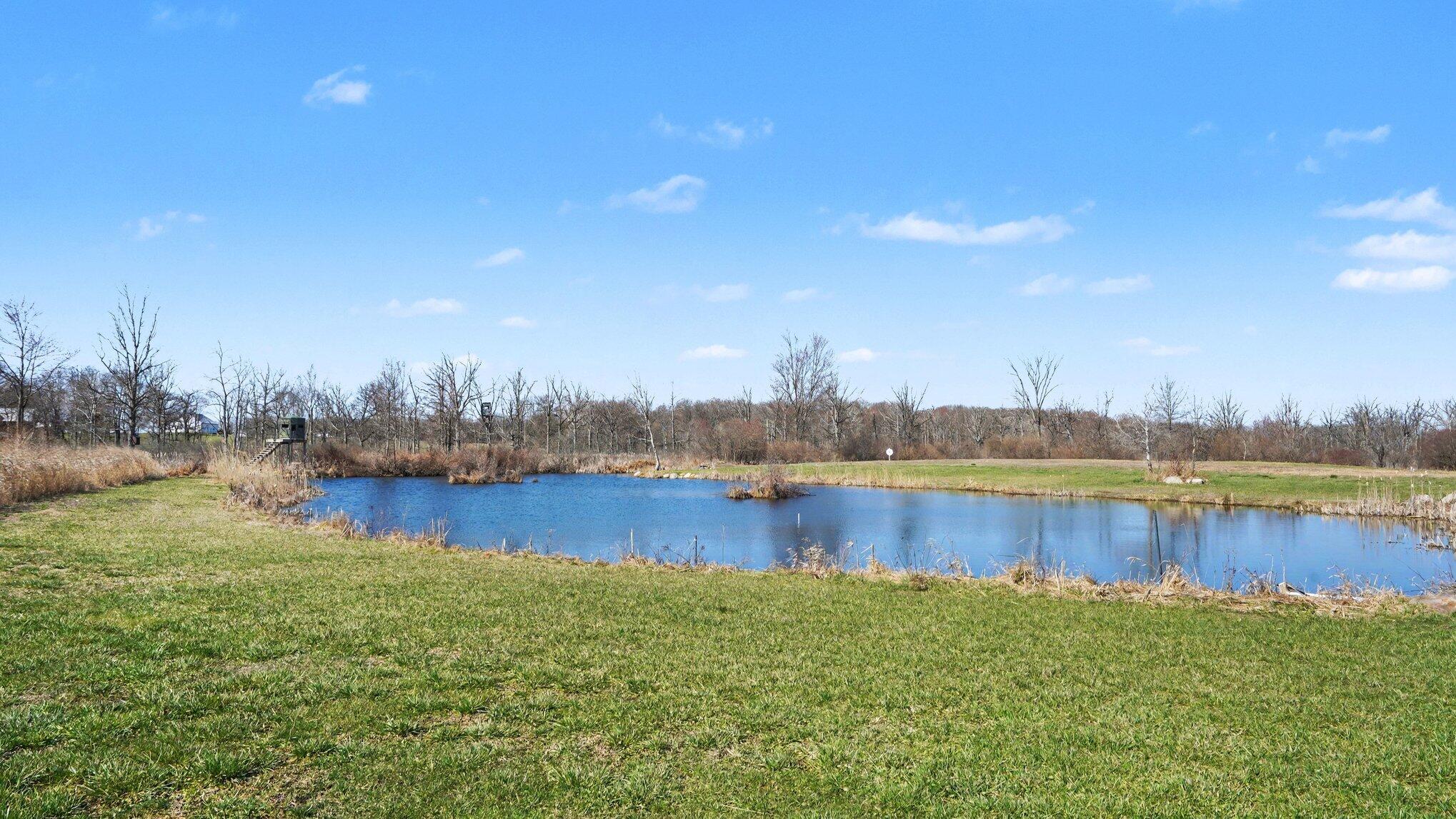 14720 Riethmiller Road Grass Lake, MI 49240 - Photo 52 of 82 060_file_5631