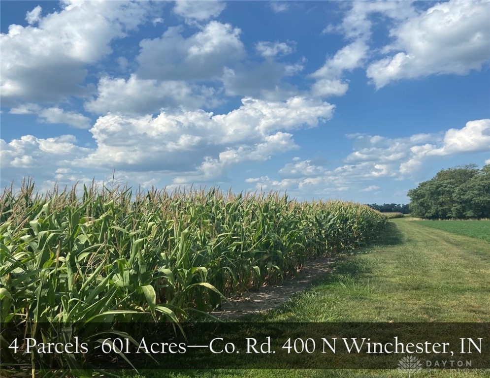 0 Co Road Winchester, IN 47394 - Photo 1 of 10 Gallery Image 1