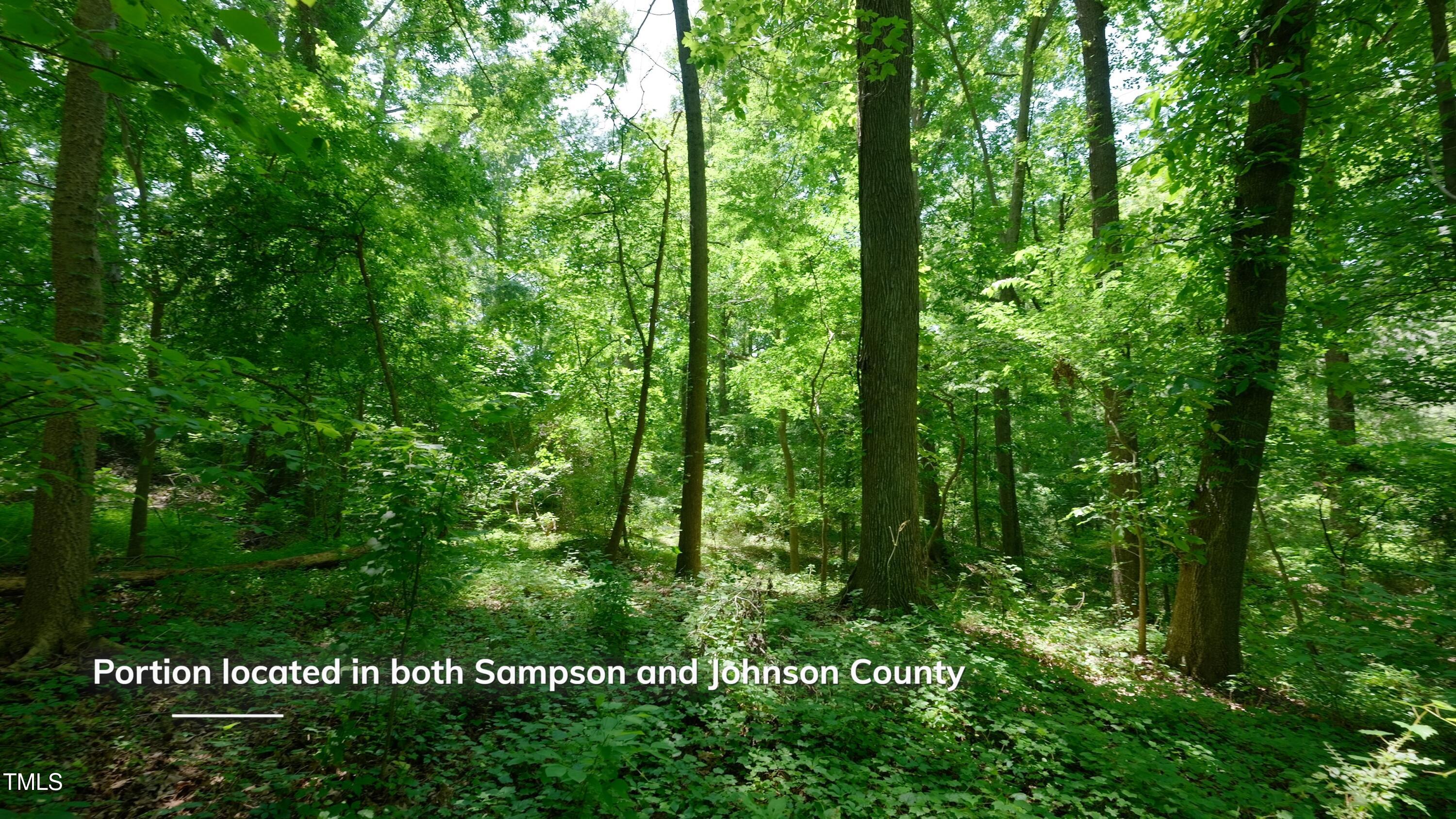 0 East Barefoot Road Newton Grove, NC 28366 - Photo 24 of 42 Newton Grove Still Photo21