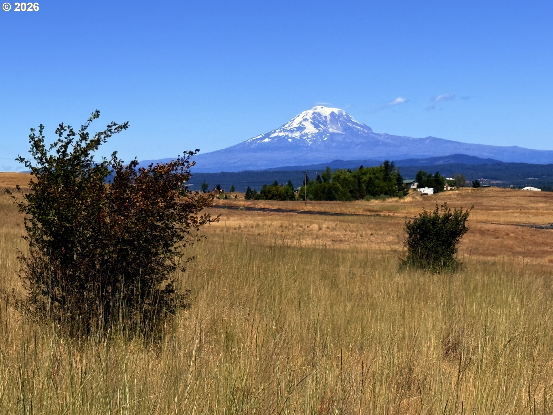 Erickson Road, Unit 28A Centerville, WA 98613 - Photo 11 of 33 Gallery Image 11