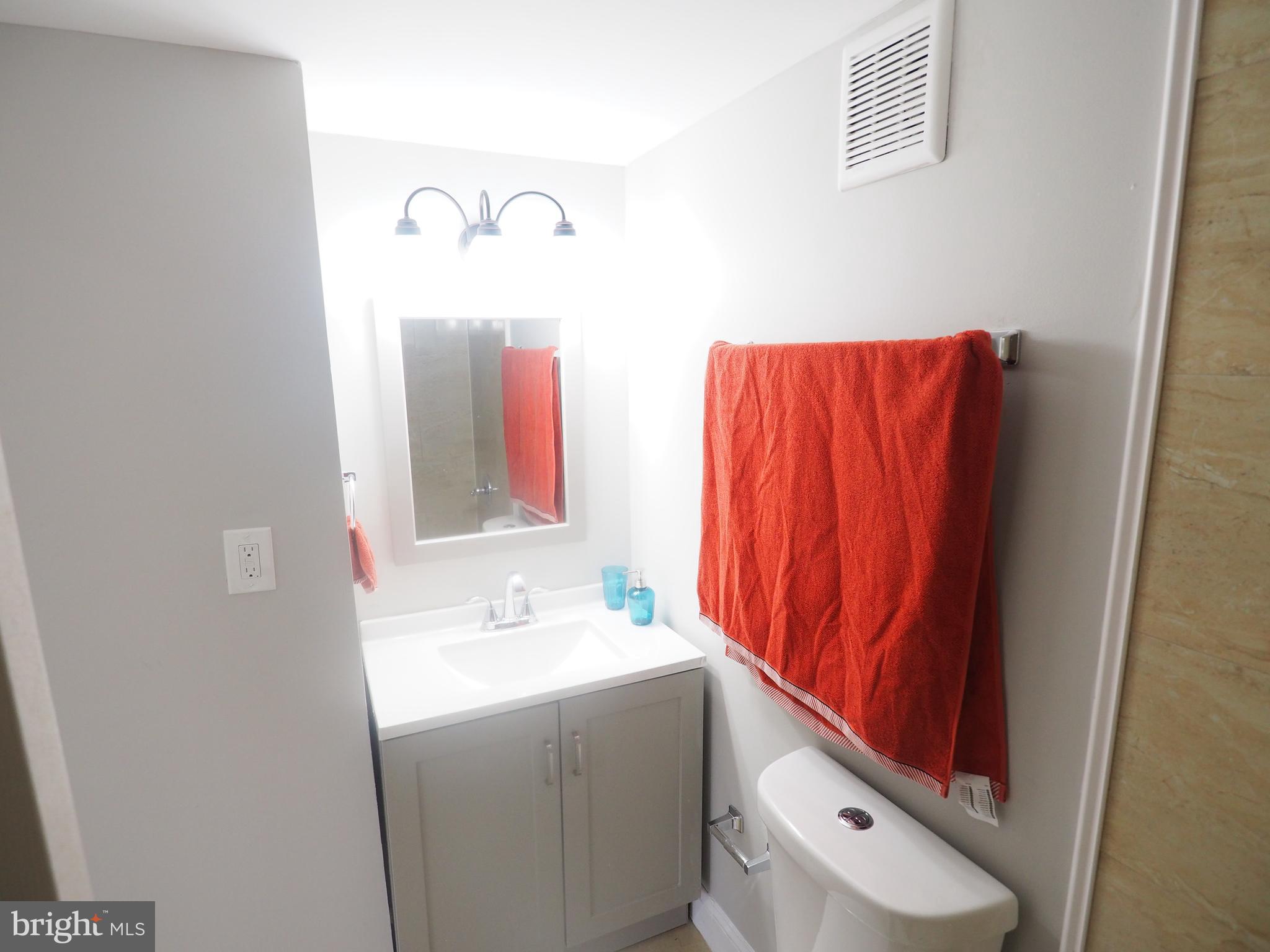 6358 Rising Moon Columbia, MD 21045 - Photo 32 of 45 Bathroom
