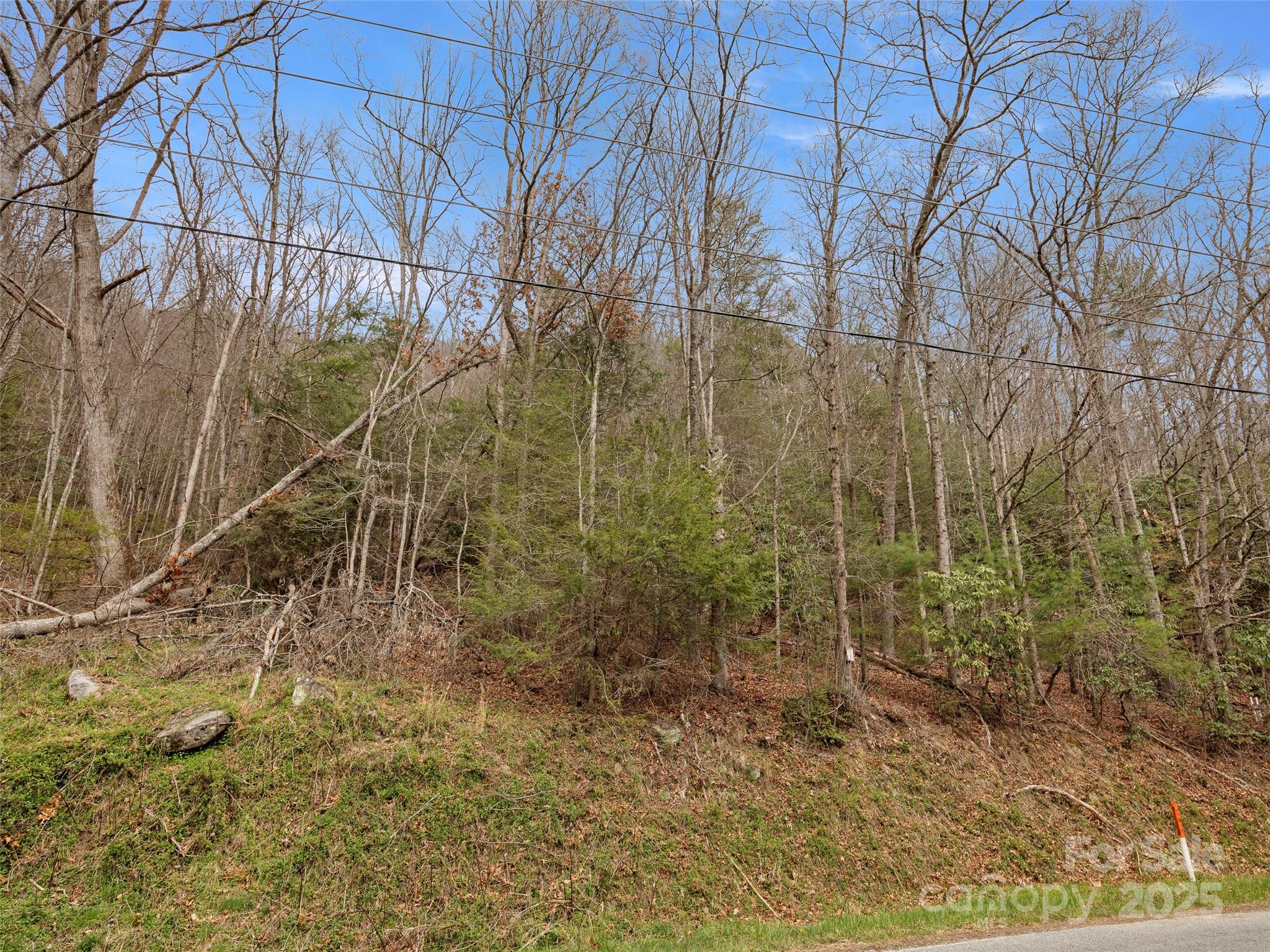 9999 Panther Creek Road, Unit B Clyde, NC 28721 - Photo 3 of 7 a view of a yard with plants and wooden fence
