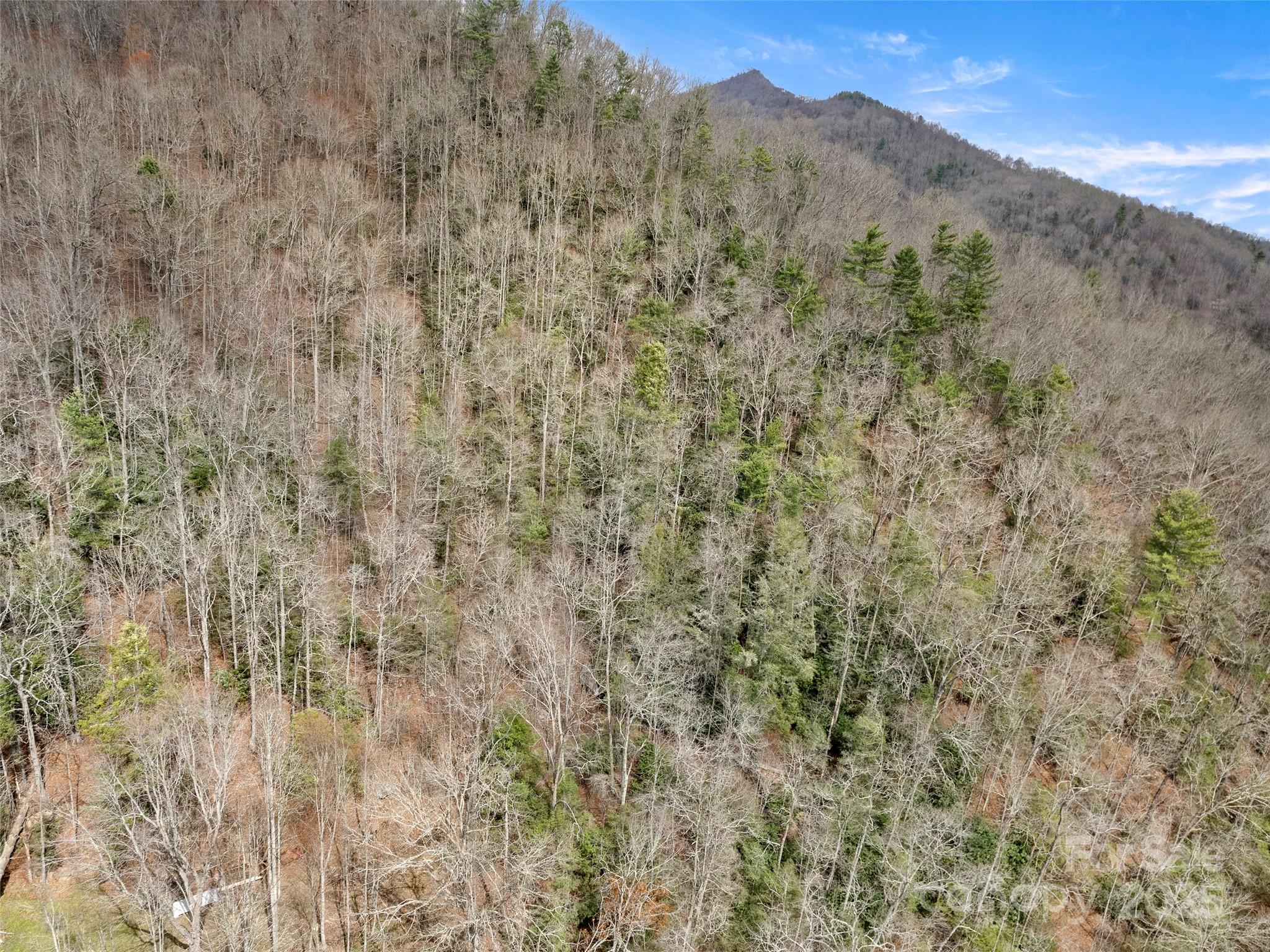 9999 Panther Creek Road, Unit B Clyde, NC 28721 - Photo 4 of 7 a view of a dry field with mountains in the background