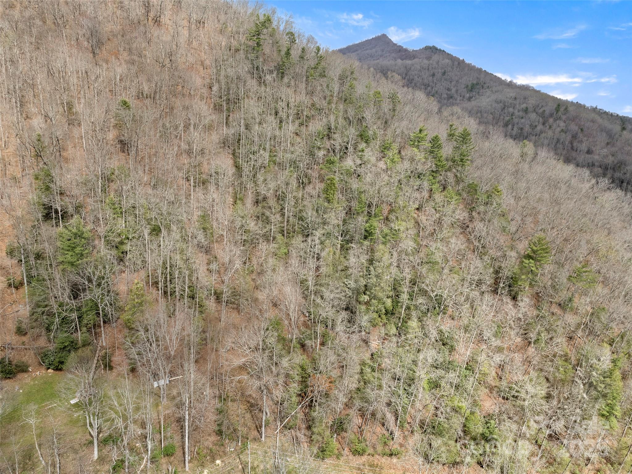 9999 Panther Creek Road, Unit B Clyde, NC 28721 - Photo 5 of 7 a view of a dry yard