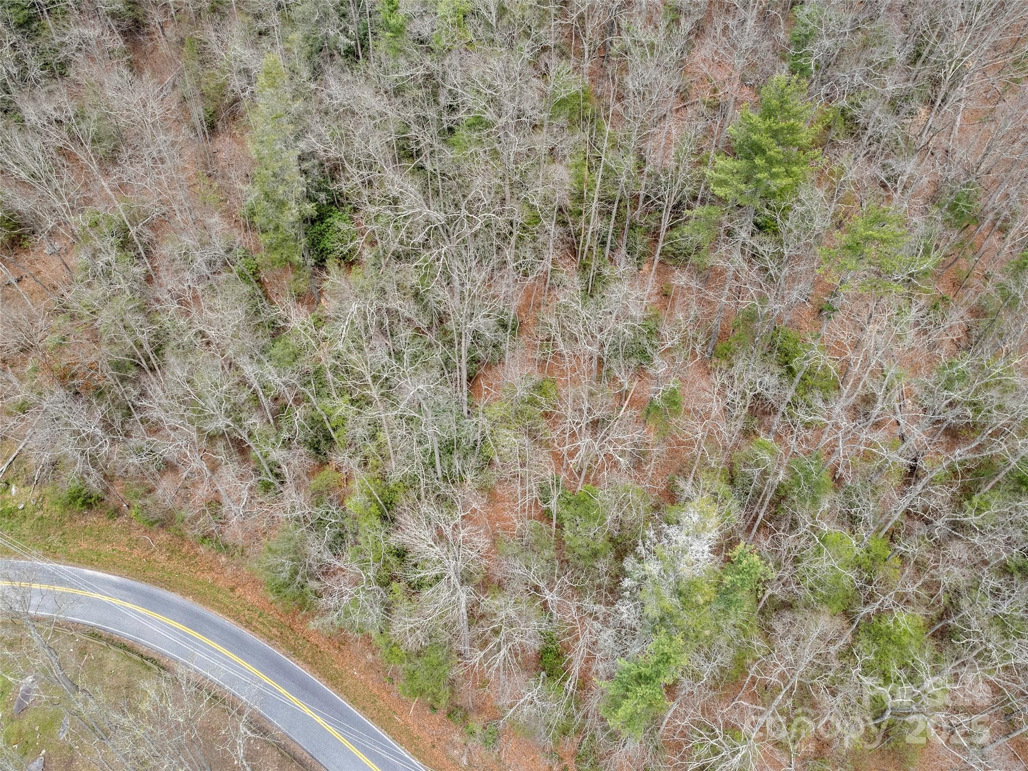 9999 Panther Creek Road, Unit B Clyde, NC 28721 - Photo 7 of 7 a view of a forest from a window