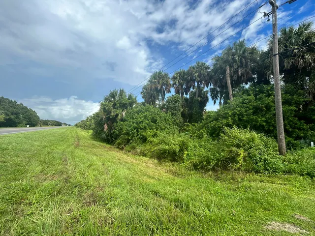 a view of a lush green space