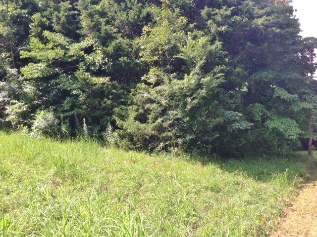 500 Crossvine Road Sparta, TN 38583 - Photo 1 of 1 a view of a garden