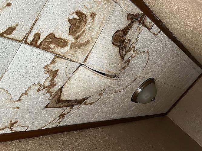 24319 Florence Street Detroit, MI 48219 - Photo 44 of 57