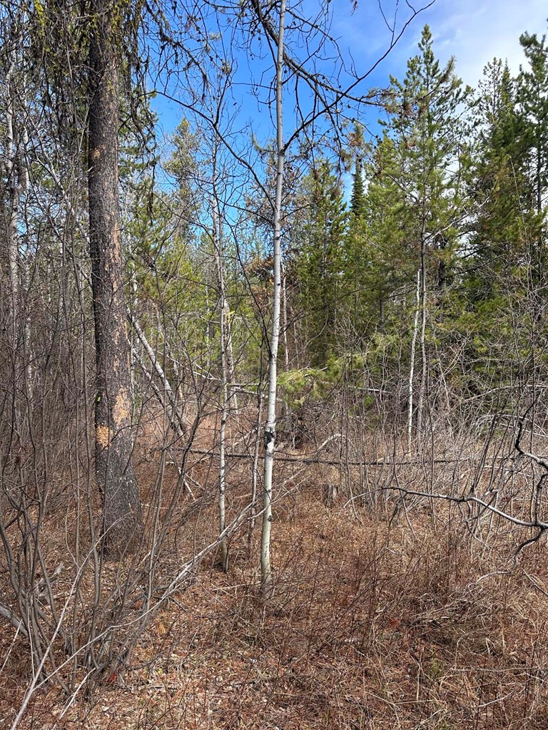 200 Angus Lane, Unit 5 Donnelly, ID 83615 - Photo 4 of 9