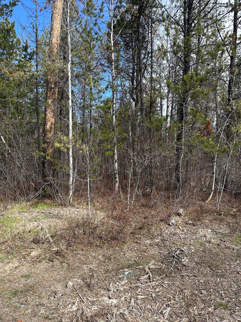 200 Angus Lane, Unit 5 Donnelly, ID 83615 - Photo 5 of 9