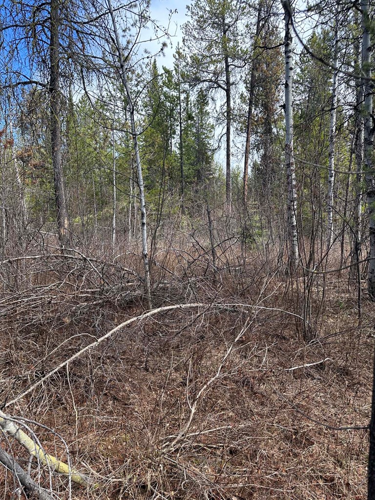 200 Angus Lane, Unit 5 Donnelly, ID 83615 - Photo 7 of 9 Plat Map