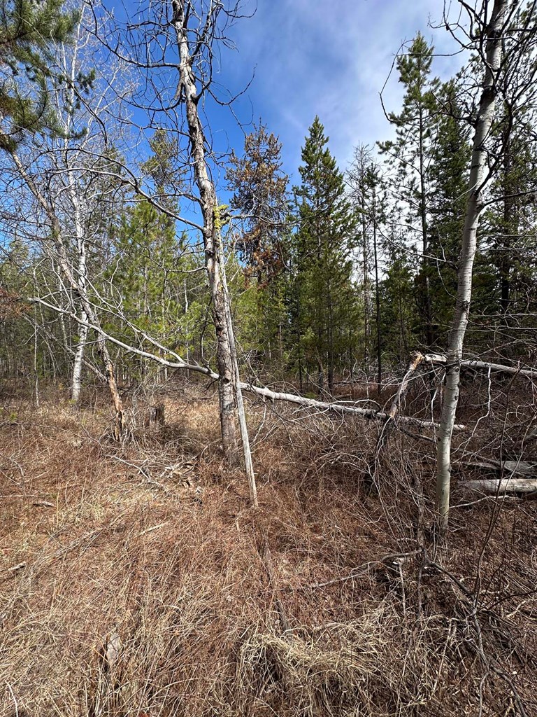 200 Angus Lane, Unit 5 Donnelly, ID 83615 - Photo 8 of 9 County Map