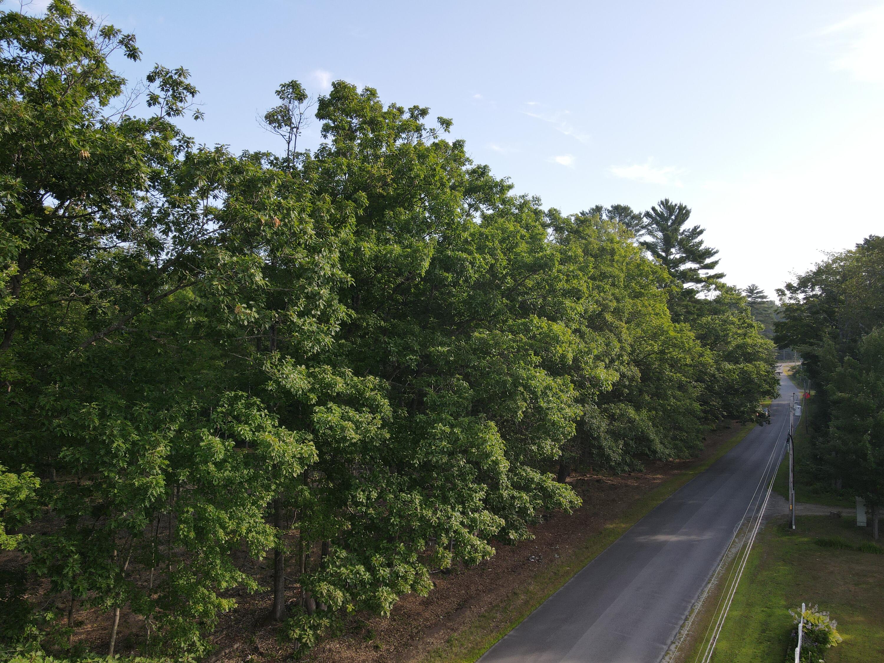 Lot 6 Oak Pond Road Canaan, ME 04924 - Photo 4 of 5 dji_fly_20250807_080202_599_175457132448