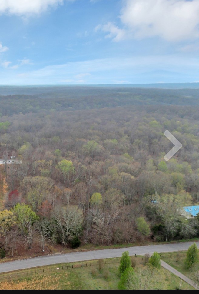 0 Calvin Potts Road Primm Springs, TN 38476 - Photo 1 of 1 Gallery Image 1