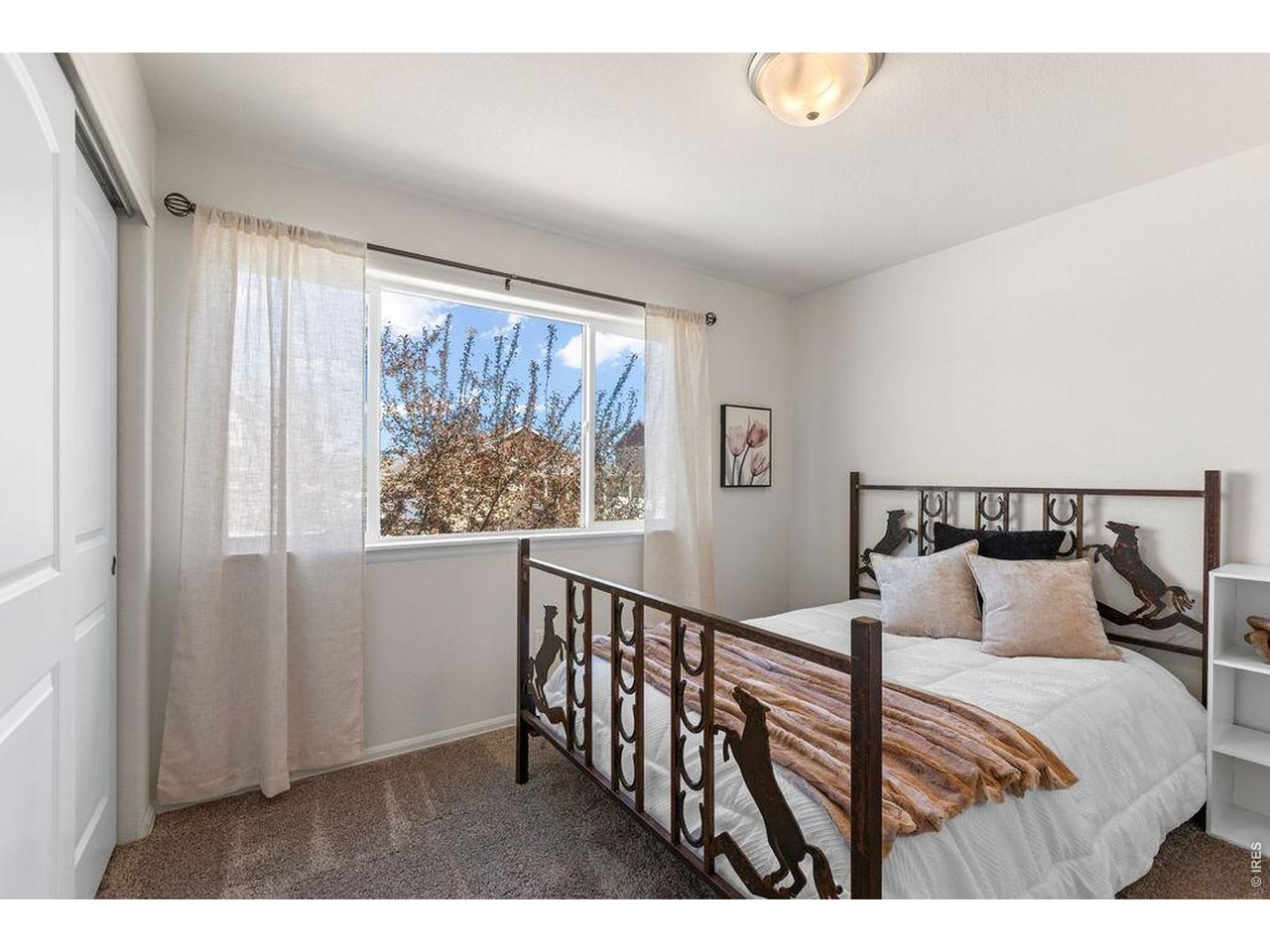 1113 Tur Street Severance, CO 80550 - Photo 16 of 32