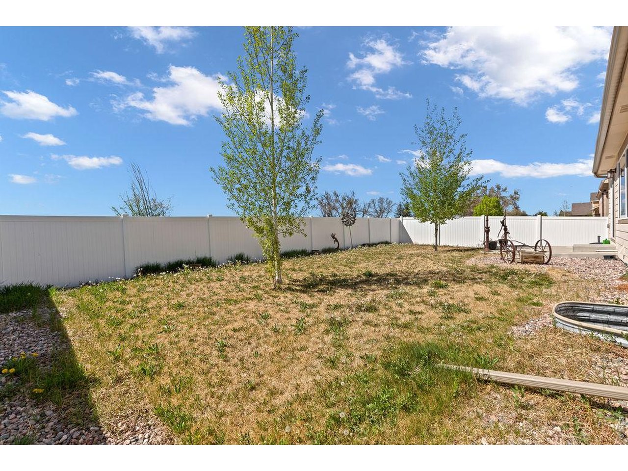1113 Tur Street Severance, CO 80550 - Photo 26 of 32