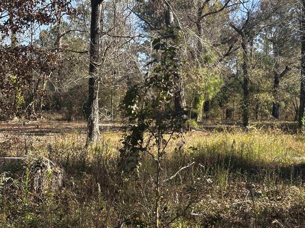 112 Angus Drive Ragley, LA 70657 - Photo 11 of 11