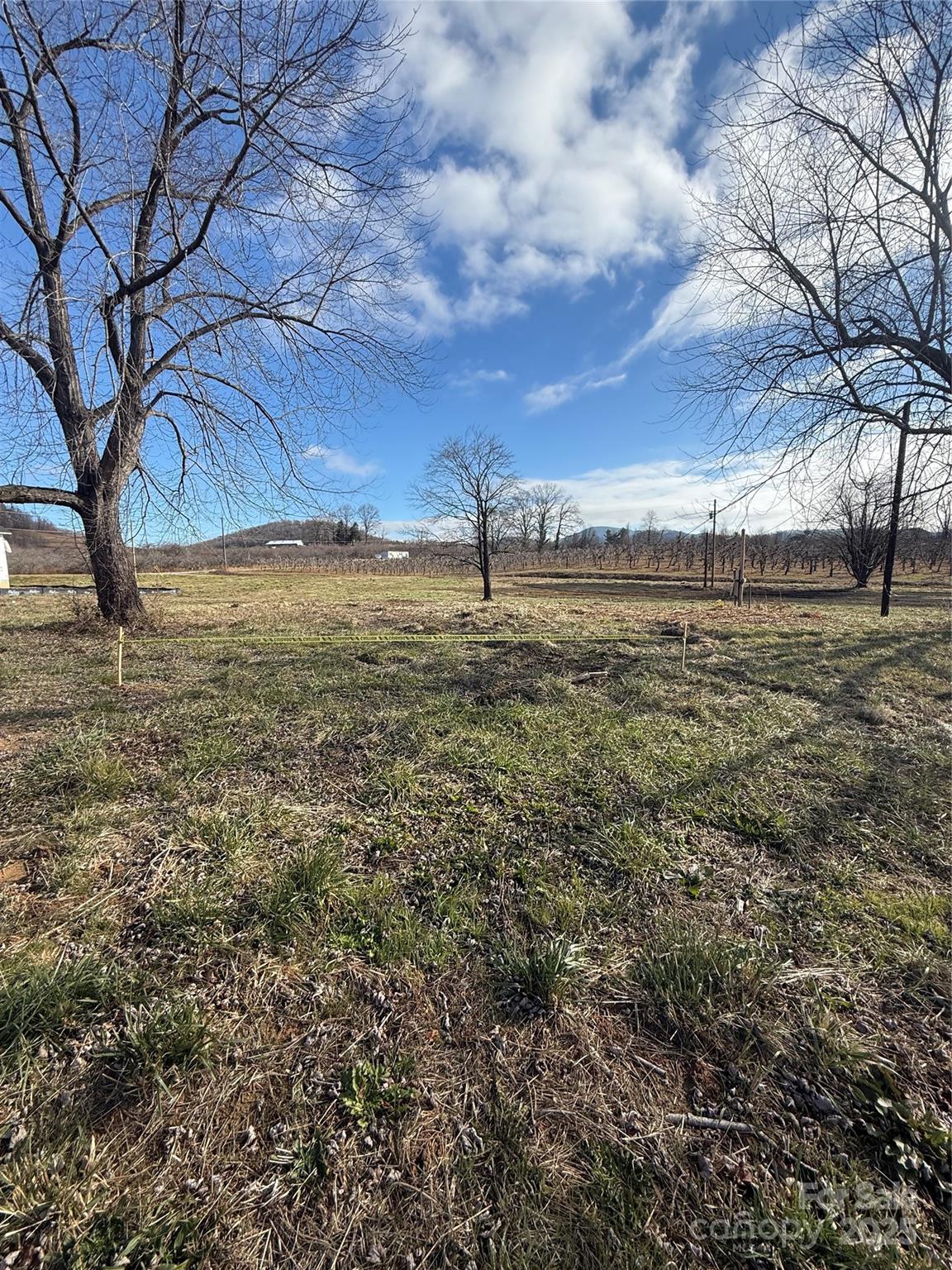 511 Laughter Road Hendersonville, NC 28792 - Photo 15 of 19 a view of a yard with an trees