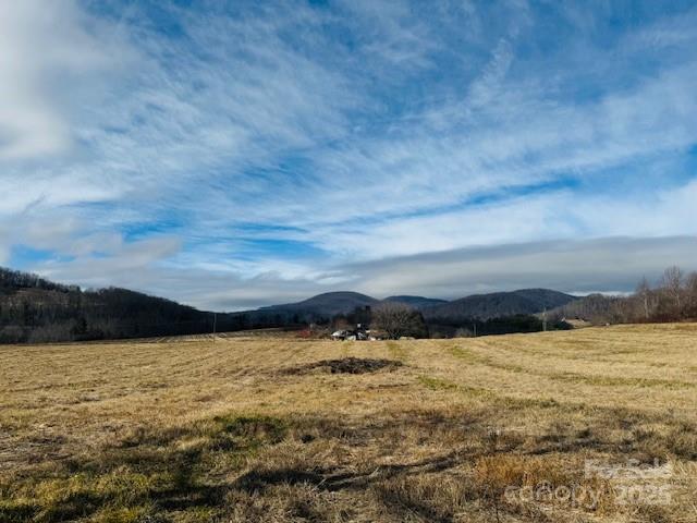 511 Laughter Road Hendersonville, NC 28792 - Photo 3 of 19