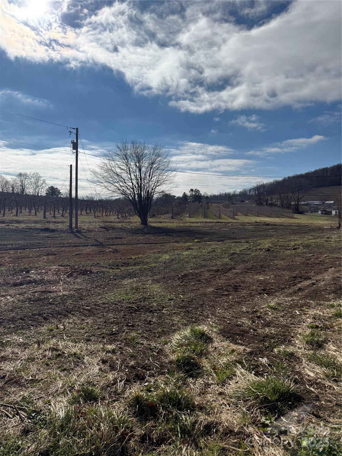 511 Laughter Road Hendersonville, NC 28792 - Photo 5 of 19