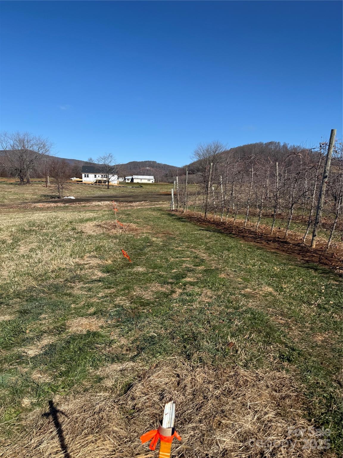 511 Laughter Road Hendersonville, NC 28792 - Photo 6 of 19 a view of an ocean and beach
