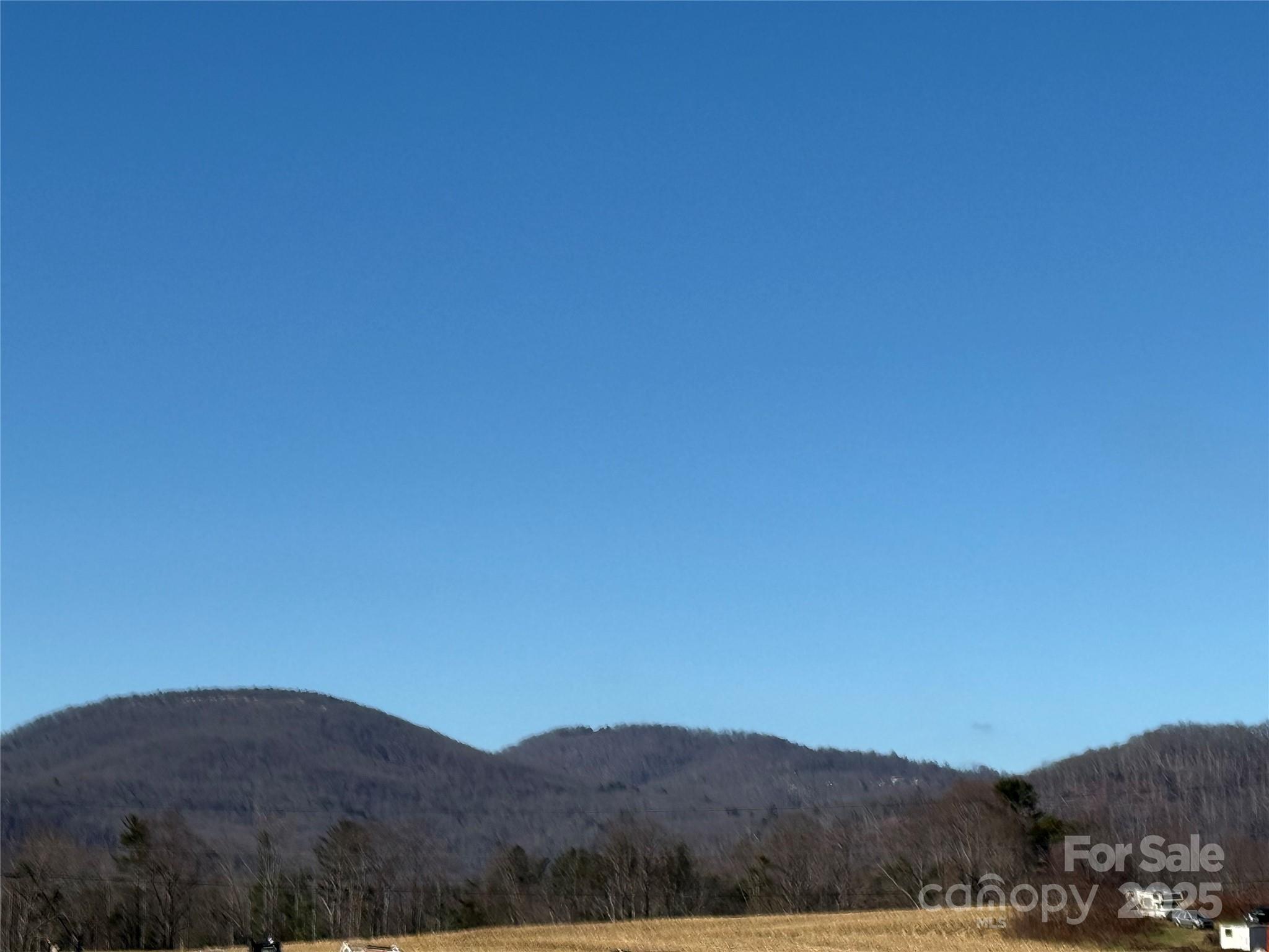 511 Laughter Road Hendersonville, NC 28792 - Photo 9 of 19 a view of a dry field