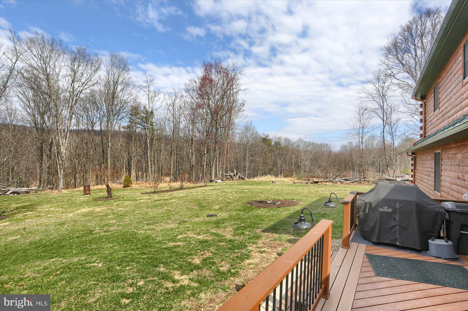 1560 Rhine Hollow Road East Waterford, PA 17021 - Photo 65 of 113 Serene Back Yard With Some Blueberry Bushes