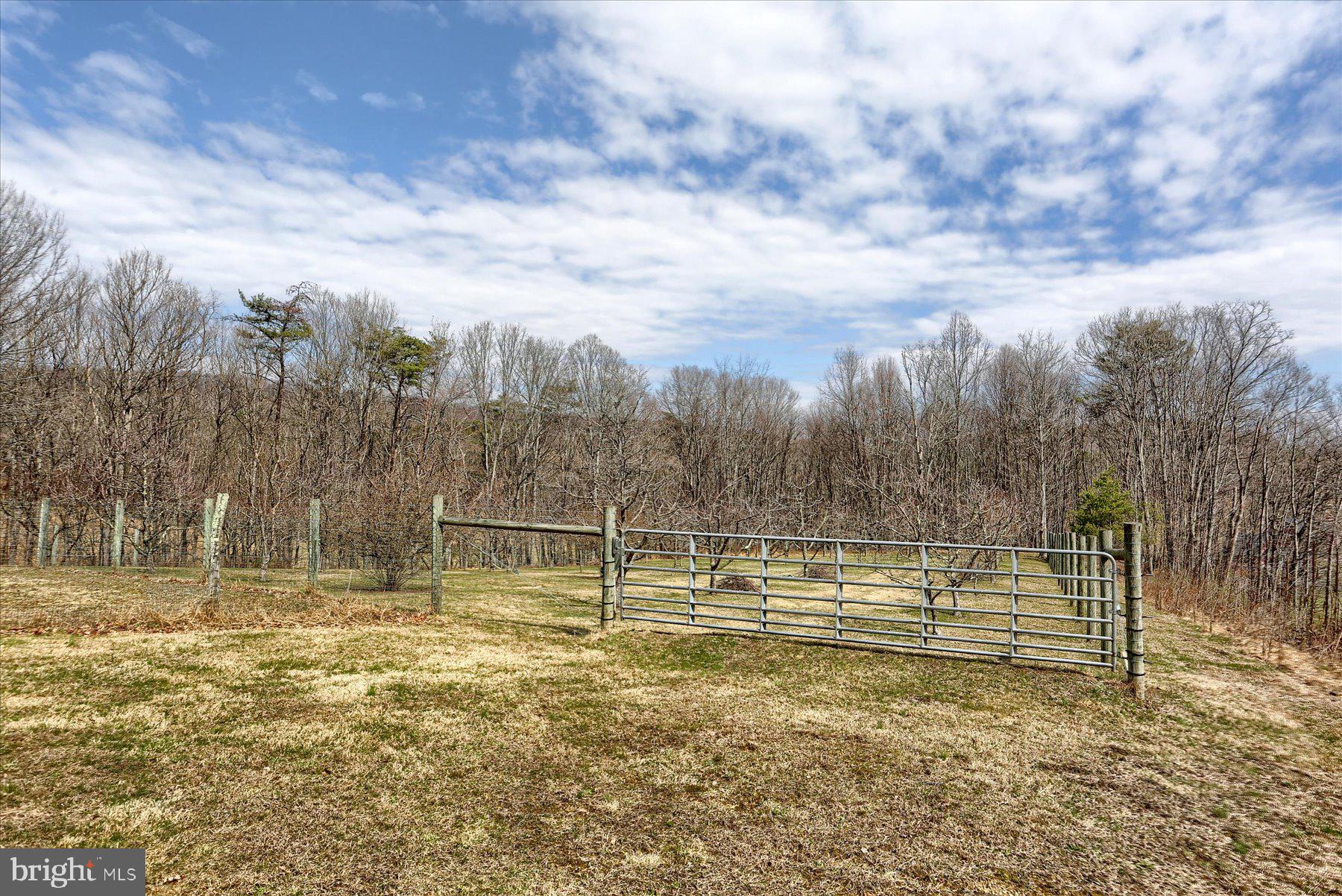1560 Rhine Hollow Road East Waterford, PA 17021 - Photo 66 of 113 Fenced Orchard with Apple, Peaches, and Pears