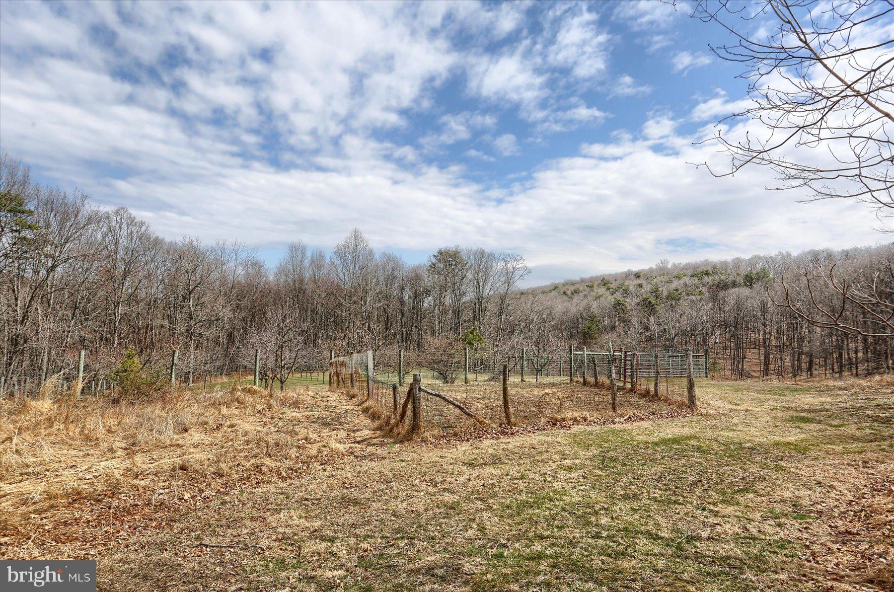 1560 Rhine Hollow Road East Waterford, PA 17021 - Photo 67 of 113 a view of outdoor space with trees