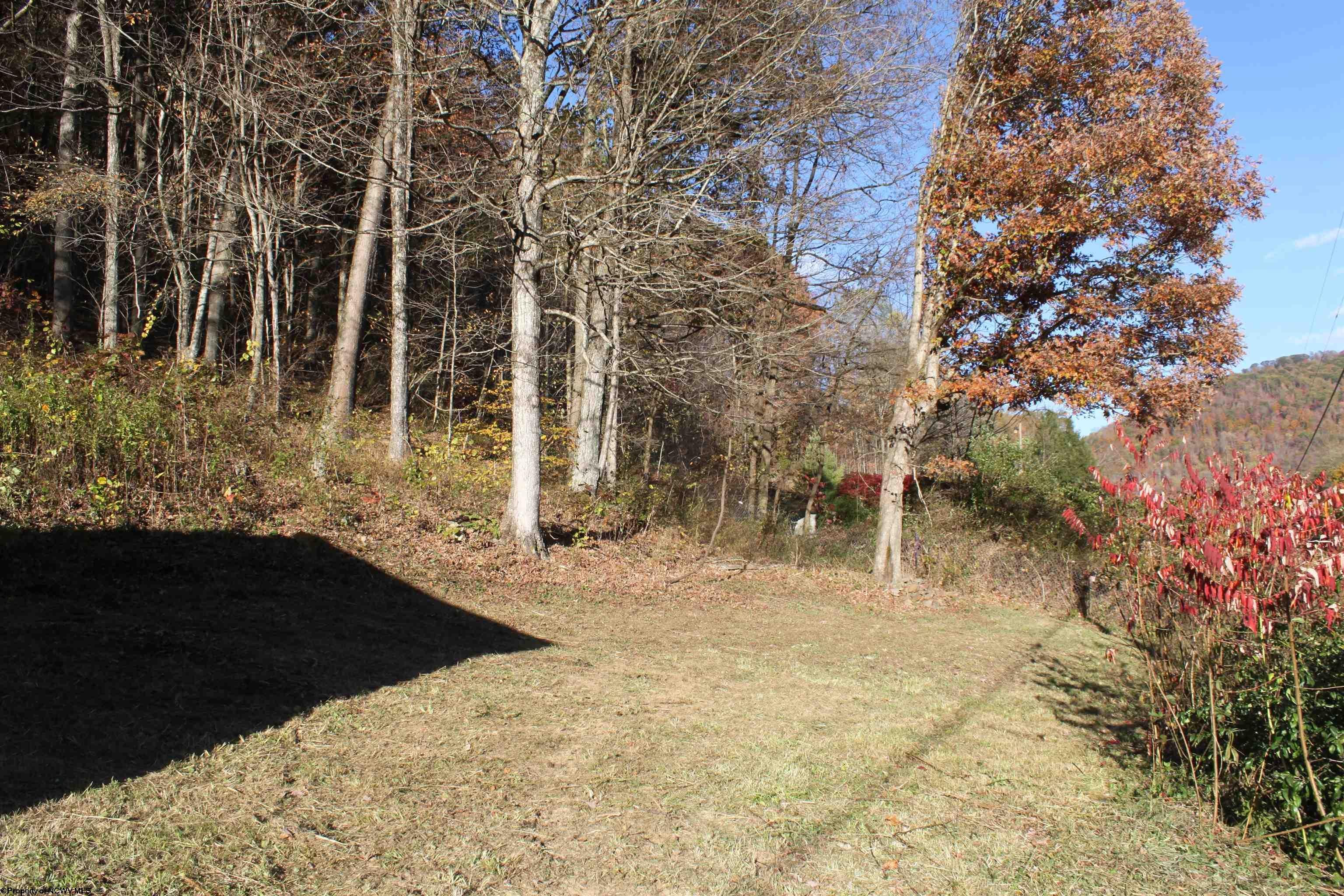 3332 Webster Road Webster Springs, WV 26288 - Photo 15 of 23 Gallery Image 15