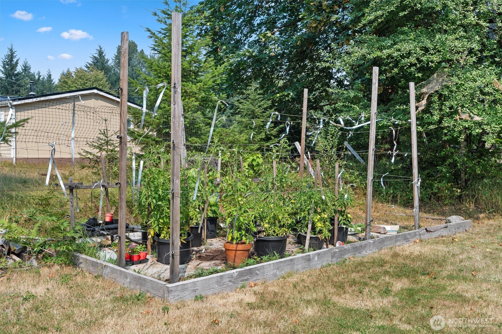 428 Cannon Road Packwood, WA 98361 - Photo 21 of 33 Gallery Image 21
