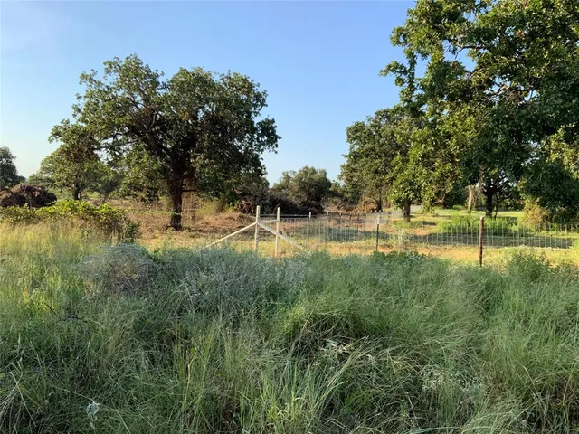 a view of a yard with a tree