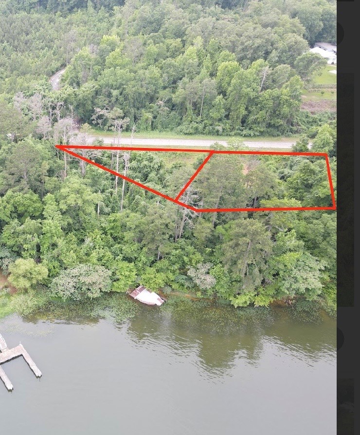 97 County Road 97 Abbeville, AL 36310 - Photo 4 of 5