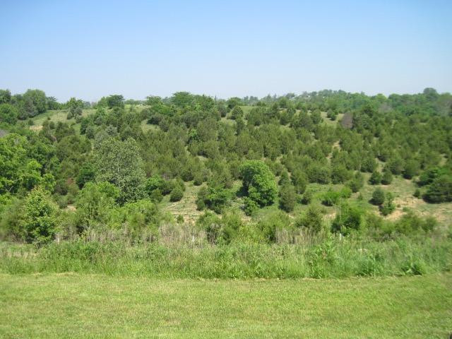 550 Corinth Road Corinth, KY 41010 - Photo 8 of 10 Gallery Image 8