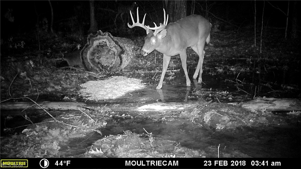 87 State Route Orwell, OH 44076 - Photo 15 of 31 Gallery Image 15