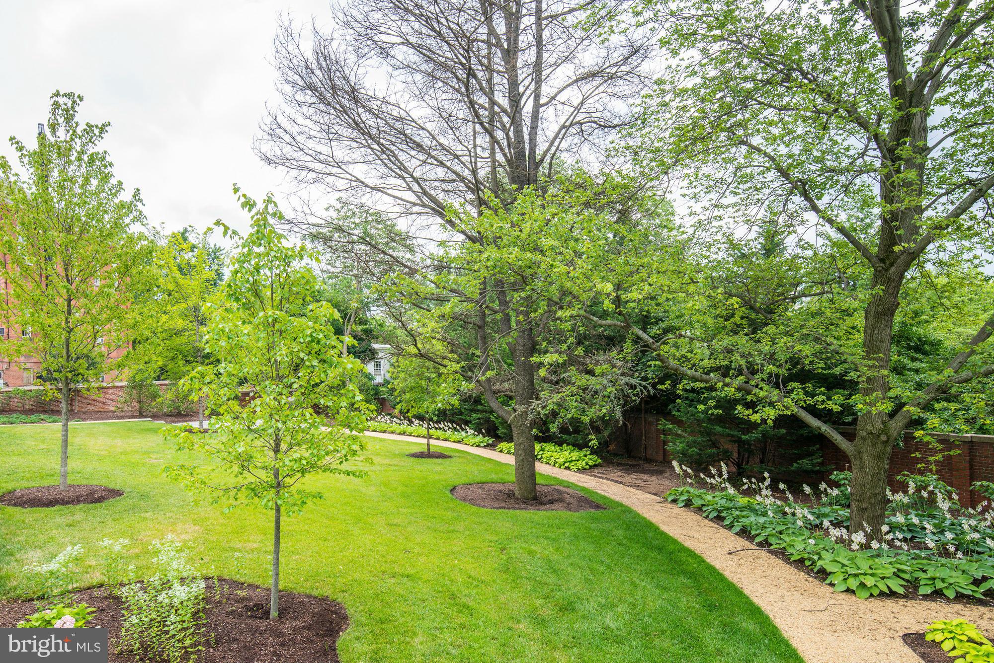 3052 R Street Northwest, Unit 304 Washington, DC 20007 - Photo 13 of 19 a view of a garden with a tree
