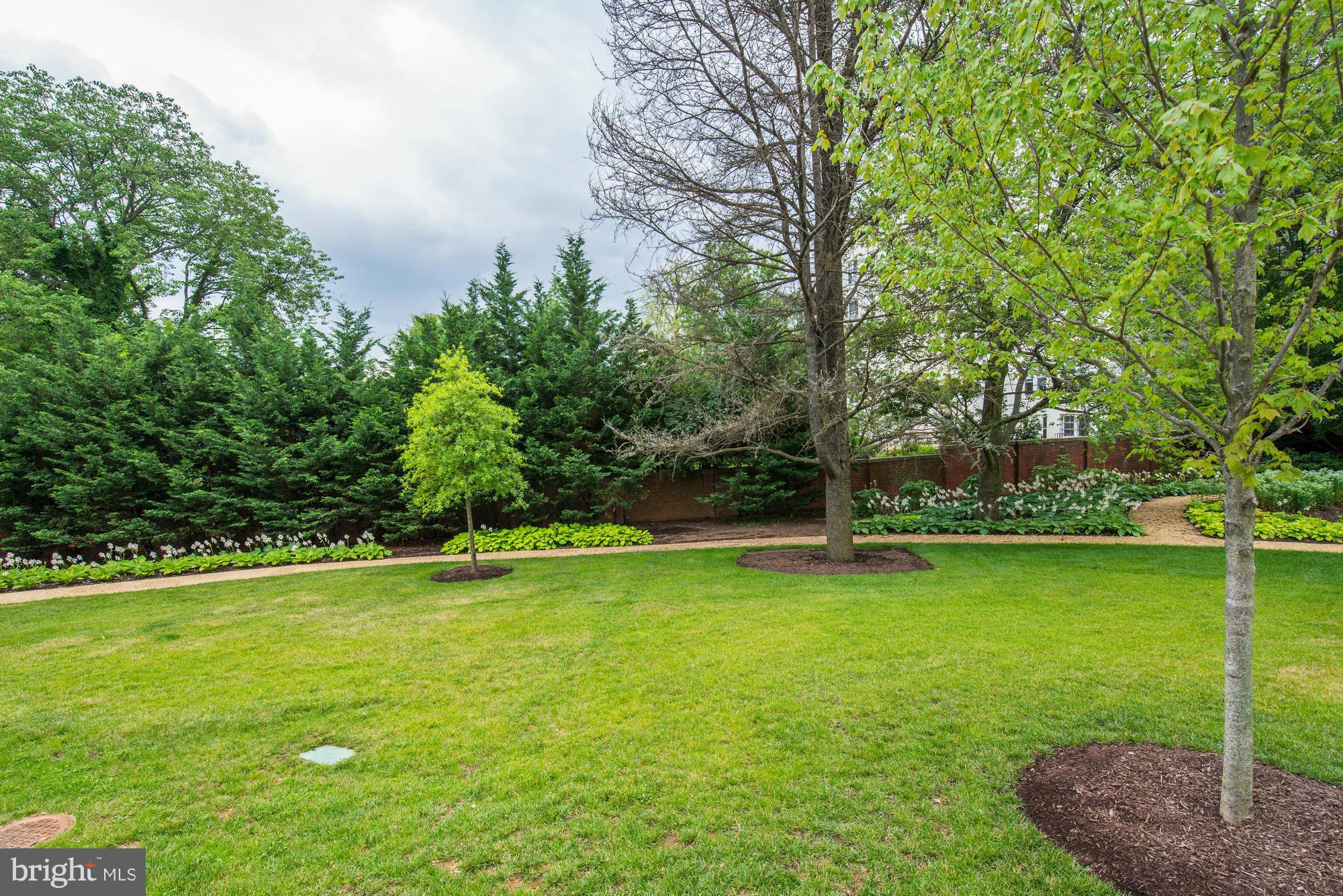 3052 R Street Northwest, Unit 304 Washington, DC 20007 - Photo 14 of 19 a view of a swimming pool with a big yard