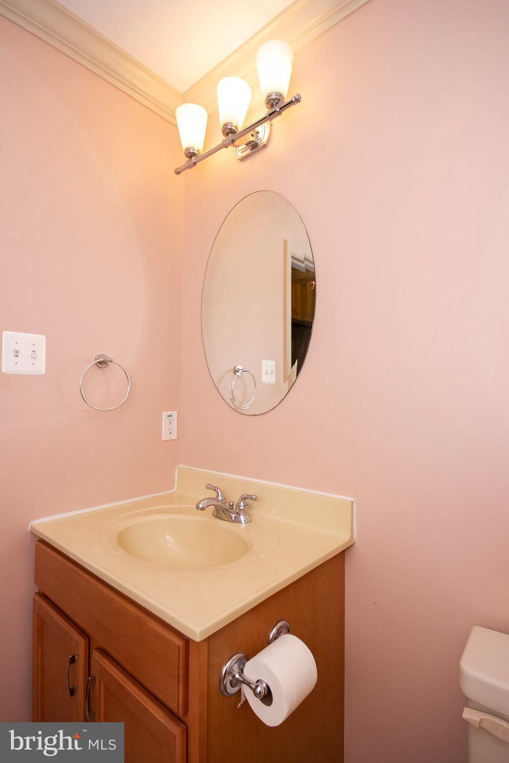 317 Pylesville Road Pylesville, MD 21132 - Photo 15 of 27 Bath (Master)